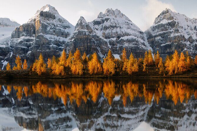 Moraine Lake & Lake Louise Sunset & Wildlife Adventure - The Value of This Tour