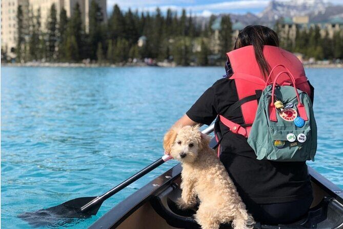 Moraine Lake Sightseeing from Samson Mall Shared Tour | On Sale! - The Itinerary in Detail