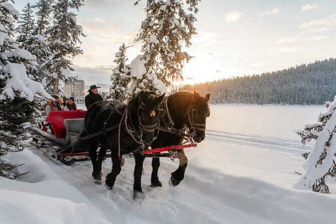 Moraine Lake, Yoho National Park, and Banff Town Trip - What This Tour Means for You
