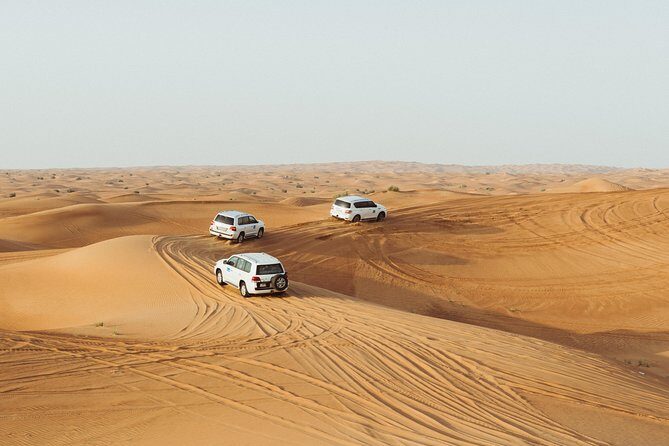 Morning Desert Safari - The Sum Up