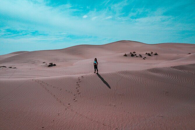 Morning Desert Safari Camel Ride Dune Bashing and Sand Boarding - Who Should Consider This Tour?