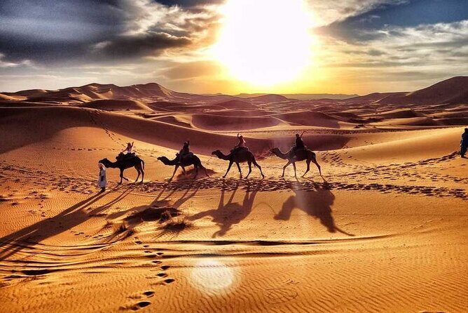 Morning Desert Safari Dubai with Dune Bashing and Sand Boarding - The Itinerary Breakdown: What’s Included and Why It Matters