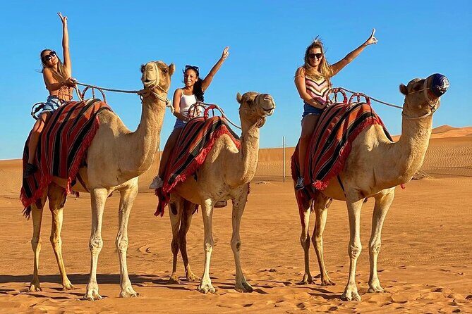 Morning Desert Safari Dubai:Red Dunes Desert,Camel Ride,Sand Boarding (Private) - Comfort, Safety, and Logistics