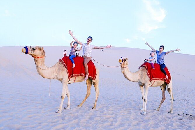Morning Desert Safari From Abu Dhabi - The Itinerary in Detail