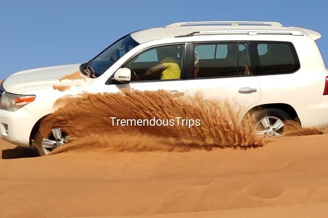 Morning Desert Safari in Dubai Private vehicle - Practicalities: What You Need to Know