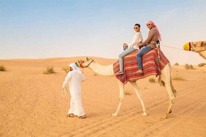 Morning desert safari private - Who Should Consider This Tour?