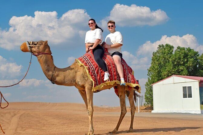 Morning Desert Safari Quad-bike camel ride Sand Surfing in Dubai - Final Thoughts: Who Should Consider This Tour