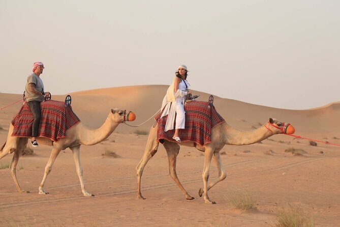 Morning Desert Safari With Buggy Ride and Sandboarding in Dubai - Summing Up: Who Is This Tour For?
