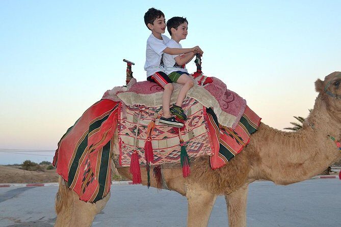 Morning Desert Safari with Camel Ride and Sand boarding - The Practicalities