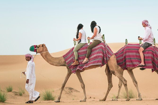 Morning Desert Safari with Dune Bashing and Sand Boarding - An In-Depth Look at the Tour Experience