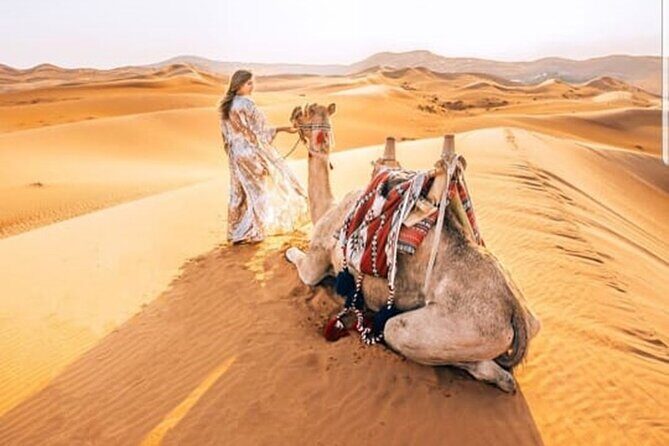 Morning Desert Safari With Quad Biking and Sandboarding - Why This Tour Offers Great Value