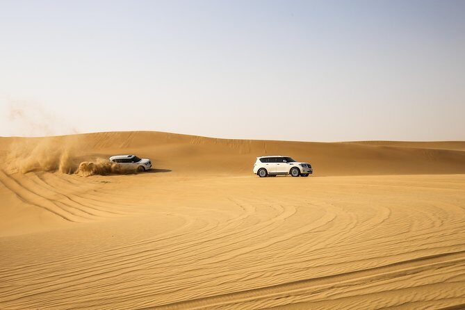 Morning Desert Safari with Sand boarding & Camel RideTour - Who Is This Tour Best For?
