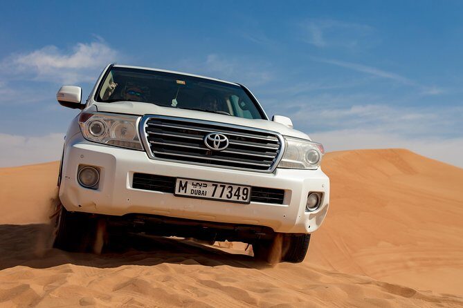 Morning Desert Safari - Who Is This Tour Best For?