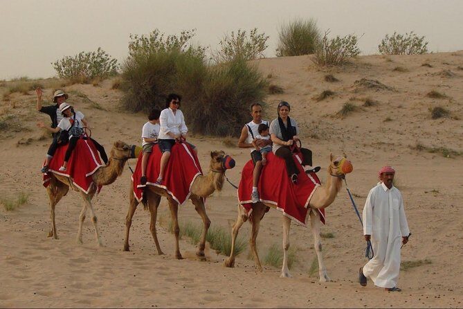 Morning Dubai Desert Dune Bashing and Camel Ride - Why This Tour Offers Good Value