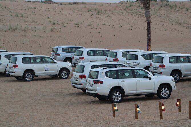 Morning Dune Drive with Sandboarding and Camel Ride - The Value and Why It Works for Travelers