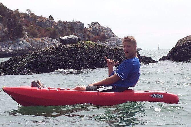 Morning Kayak & Seal Cruise - The Itinerary in Detail