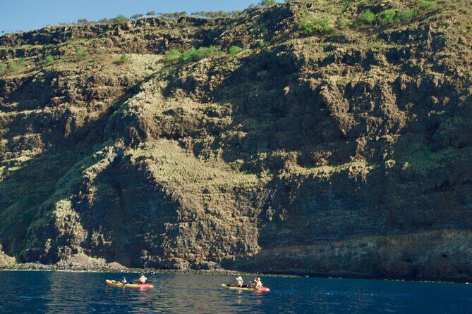Morning Magic Kayak and Snorkel Adventure in Kealakekua Bay - What Makes This Tour Stand Out?
