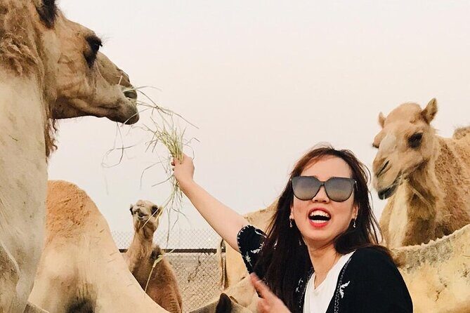 Morning Red Dune Safari with Sandboarding and Camel Ride - The Experience from a Traveler’s Perspective