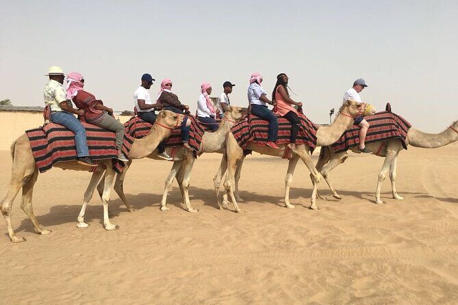 Morning Red Dunes with Camel Ride, Sandboarding and Refreshments - Transportation, Group Size, and Timing