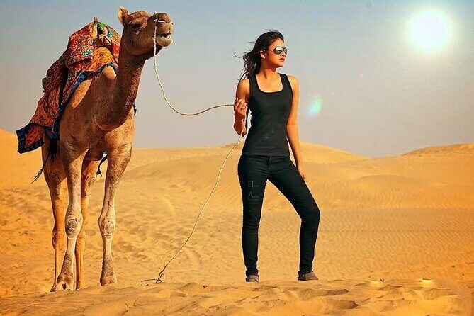 Morning Red Sand Desert Safari with Camel Ride & Sand Boarding - Why This Tour Offers Good Value
