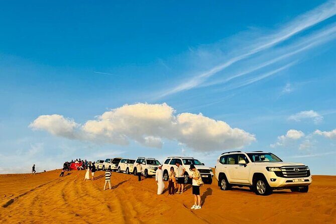 Morning Safari (Private Car) - Final Thoughts: Who Will Love This Tour?