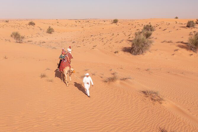 Morning Safari with Camel Ride and Quad Bike Single Seater - Why This Tour Offers Great Value