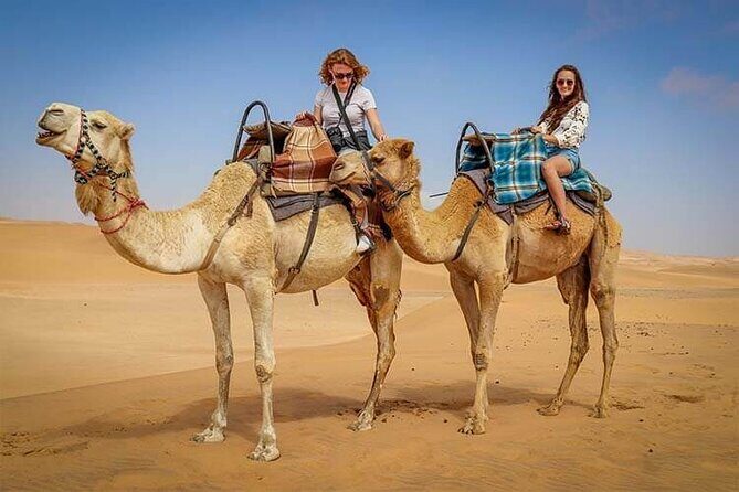 Morning Thrill: Exciting Desert Safari Adventure Camel Ride Dubai - Why Choose This Tour?