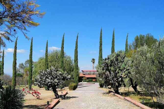 Morning Tour and Olive product tasting - A Closer Look at the Tour Itinerary