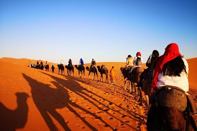 morocco 12 days 11 night desert tour from agadir - Authenticity and Value