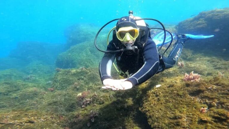 Morocco: PADI Discover Scuba Diving Dive - Final Thoughts: Who Should Consider This?
