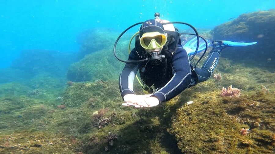 Morocco: PADI Discover Scuba Diving Dive - Final Thoughts: Who Should Consider This?