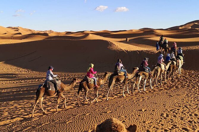Morocco tour start from Casablanca 8 days - Authentic Experiences and Guest Impressions