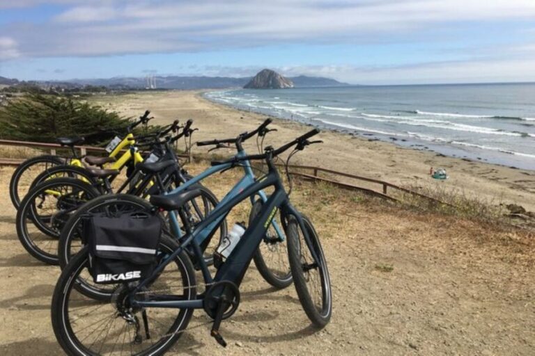Morro Bay: E-Bike Rental - Detailing the Experience