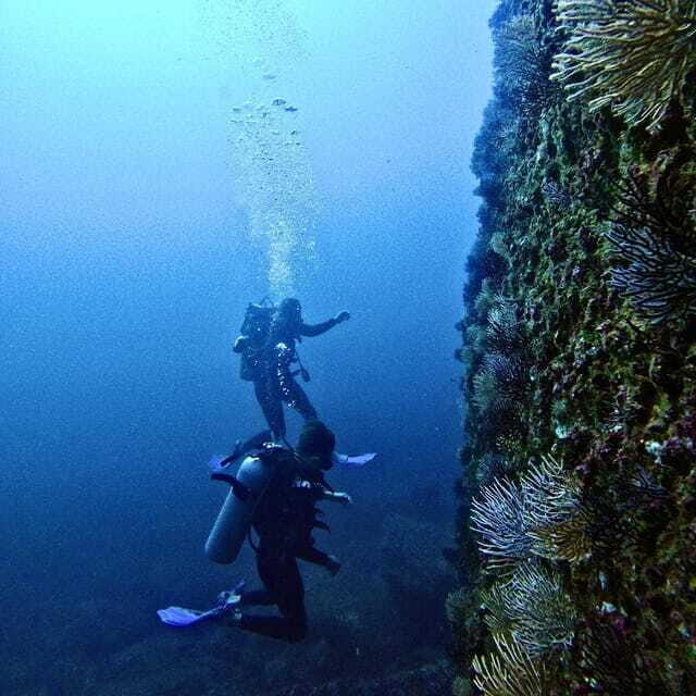 Morros de Potosi: Dive into the Mysteries of the Night - What Makes This Night Snorkel at Morros de Potosi Special?