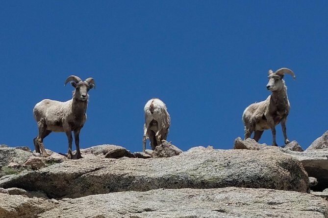 Mount Blue Sky 14,265ft Summit and Glacial Lakes - Practical Tips for Your Trip