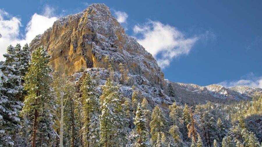 Mount Charleston Driving Adventure: Escape to Nature - Scenic Highlights and Photo Stops