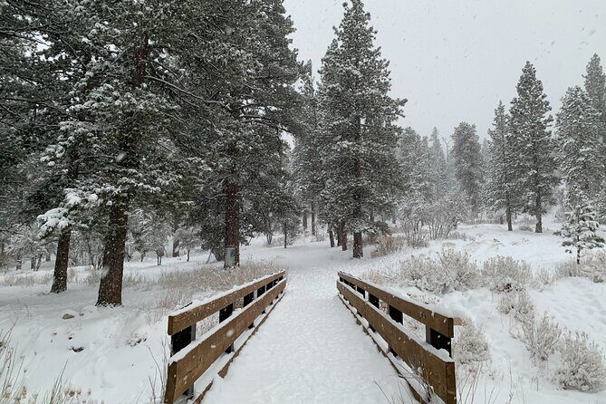 Mount Charleston Tour - Authentic Experiences and Genuine Impressions