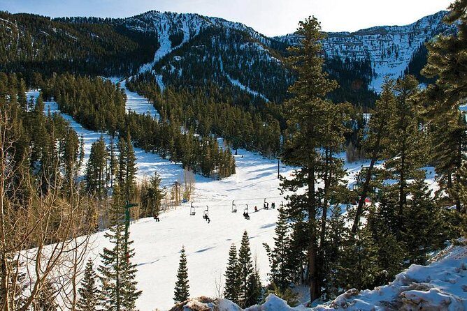 Mount Charleston Tour - Who Will Love This Tour?