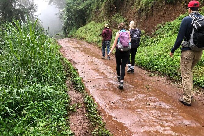 Mount Kilimanjaro day trip trekking - The Itinerary in Detail