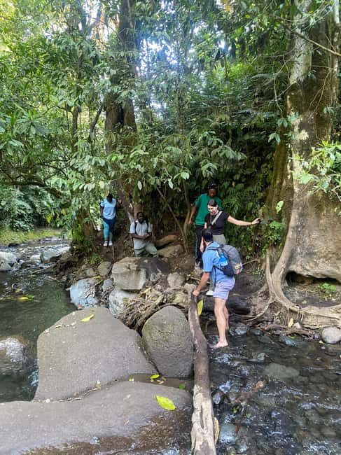 Mount Meru Arusha: Napuru Waterfall Hike by Kingstone Asilia - Who Will Love This Tour?