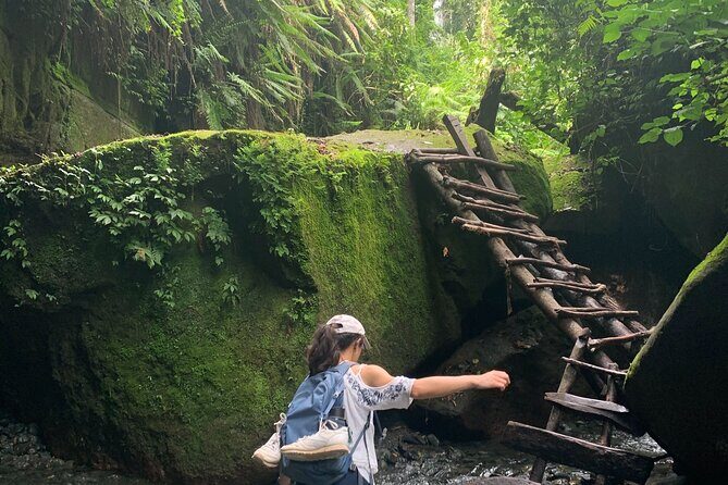 Mount Meru Arusha Napuru Waterfall Hike by Kingstone Asilia - Practical Details: What You Need to Know