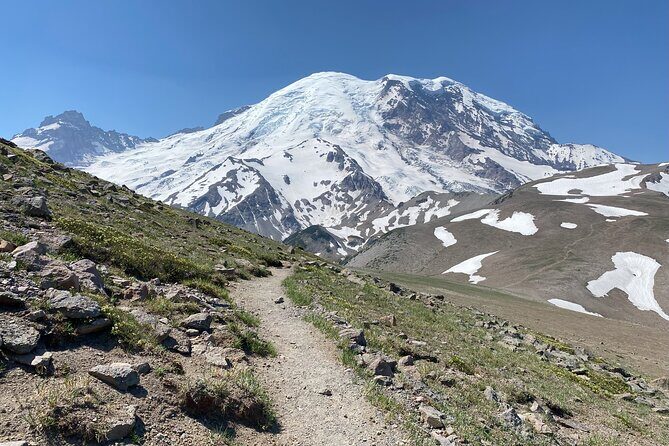 Mount Rainier Day Hike - Value and Pricing: Is It Worth It?