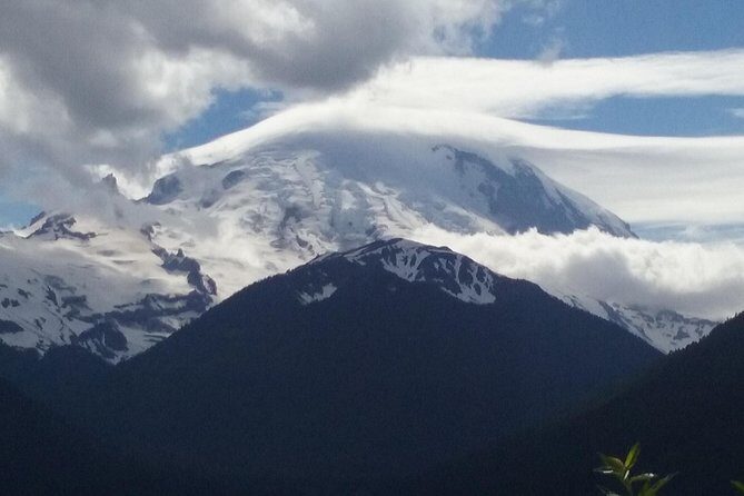 Mount Rainier Tour from Seattle - Who Will Love This Tour?