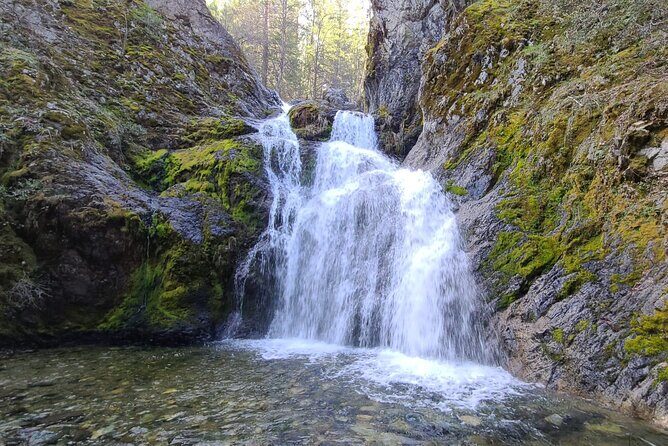 Mount Shasta Sacred Tour - Authentic Experiences Shared by Past Guests
