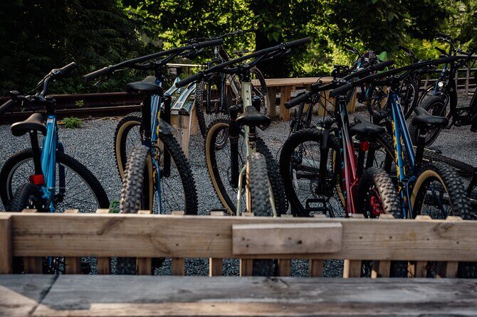 Mountain Bike Tour from The Roanoke Star - The Sum Up