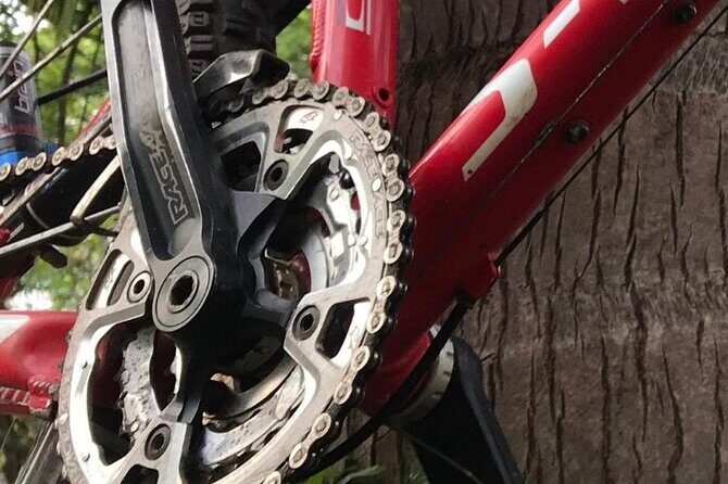 Mountain Bike Tours - The Ideal Participant