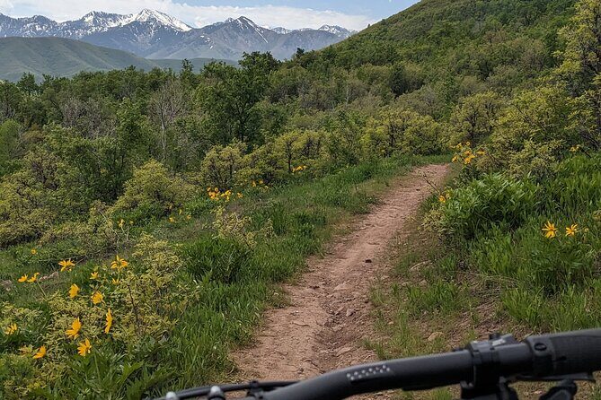 Mountain eBike Tour - Final Thoughts: Is it Worth It?