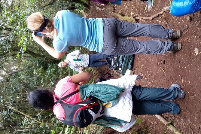 Mountain Kilimanjaro Day Hike - The Final Word: Who Should Consider This Tour?