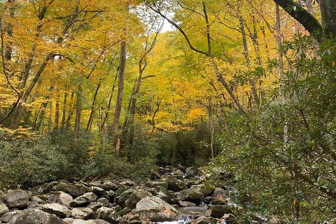 Mountaineer's Way Hike in the Smokies - Why Travel with Smoky Mountain Guides?