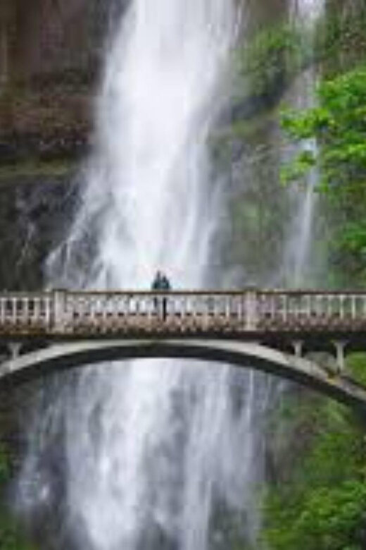 Mt Hood & Columbia River Private tour from Portland - The Practical Aspects: What Travelers Should Know